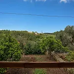 Captain Spiros Paxoi 3*